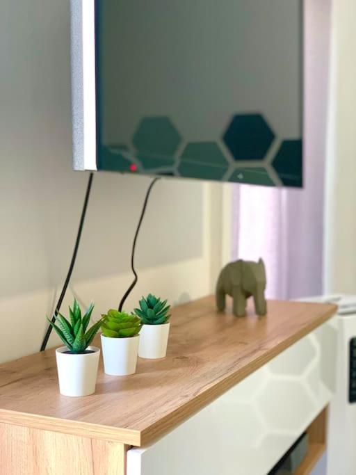 Esprit Cosy Au Centre Historique Apartment Toulon Ngoại thất bức ảnh